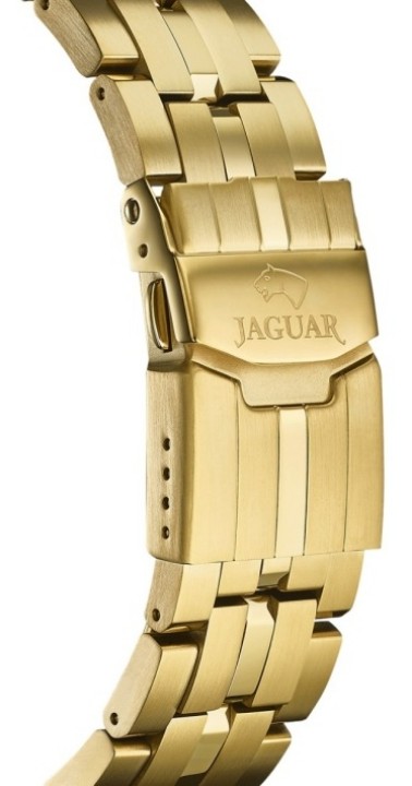 Obrázek Jaguar Executive