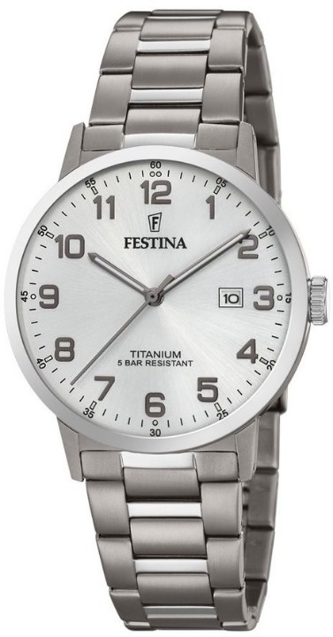 Obrázek Festina Titanium Date