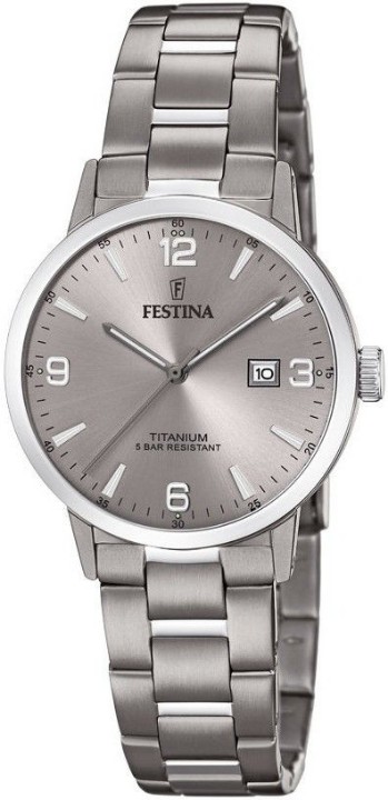 Obrázek Festina Titanium Date