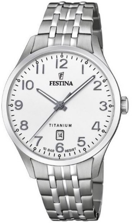 Obrázek Festina Titanium Date