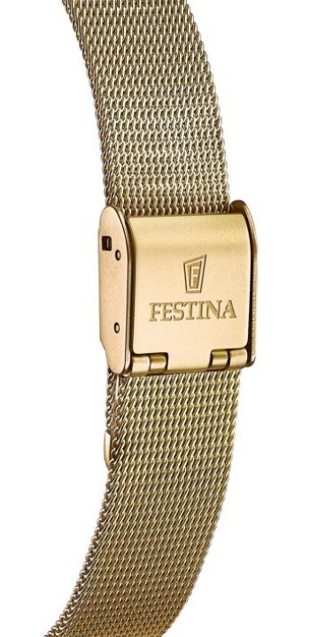 Obrázek Festina Boyfriend Collection