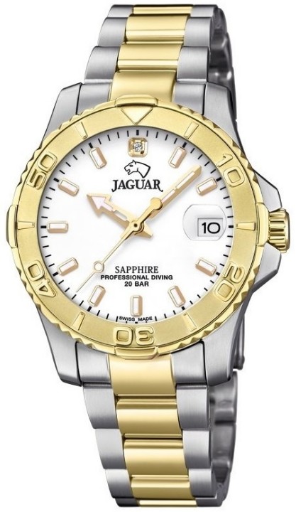 Obrázek Jaguar Executive Diver