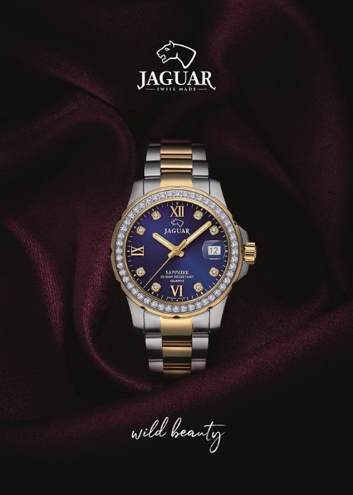 Obrázek Jaguar Executive Diver