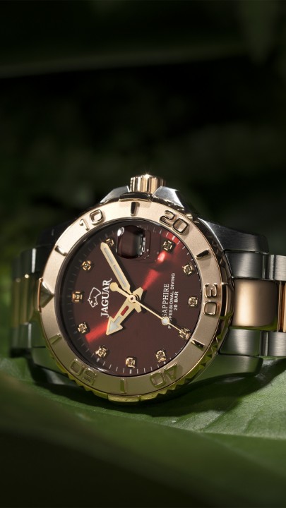 Obrázek Jaguar Executive Diver