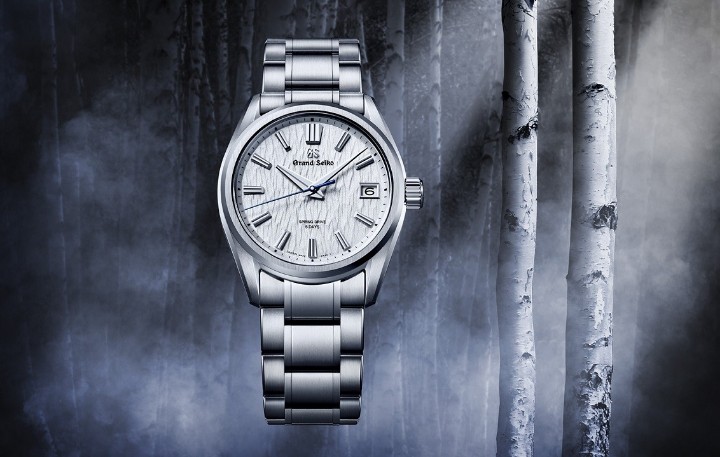 Obrázek Grand Seiko Evolution 9 White Birch