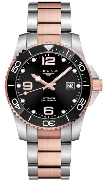 Obrázek Longines HydroConquest