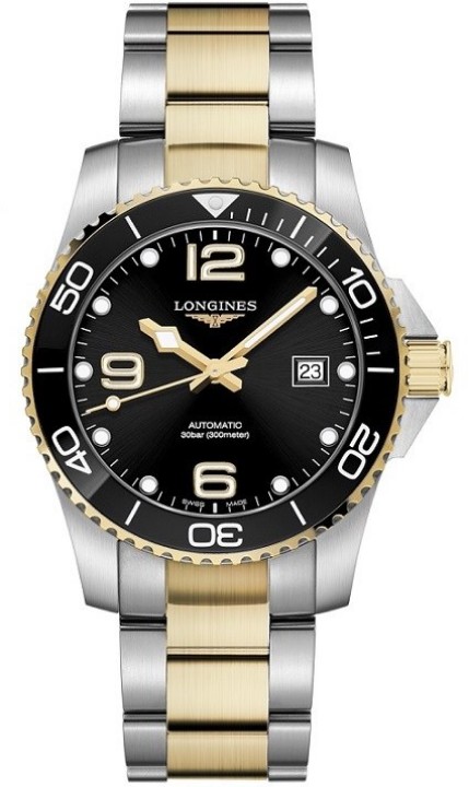 Obrázek Longines HydroConquest