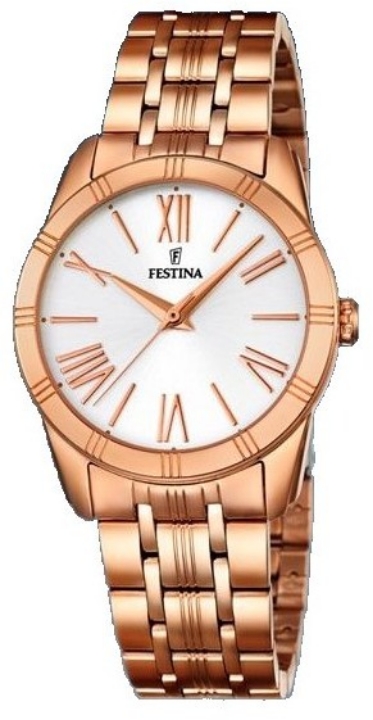 Obrázek Festina Boyfriend Collection