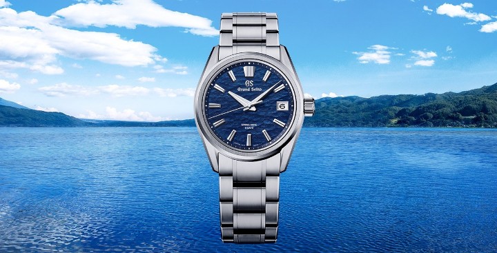 Obrázek Grand Seiko Evolution 9