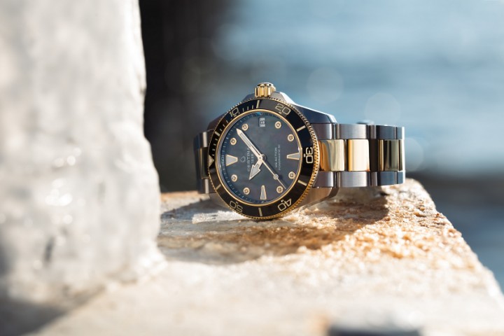 Obrázek Certina DS Action Diver