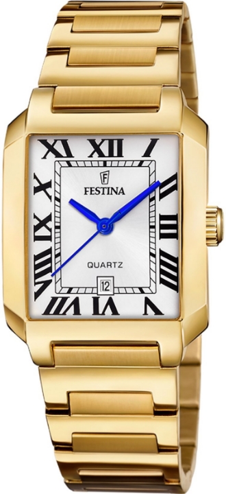 Obrázek Festina Classics