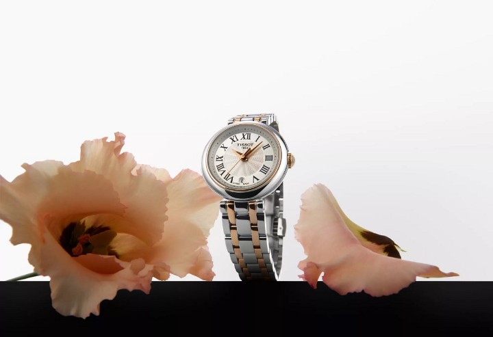 Obrázek Tissot Bellissima Small Lady