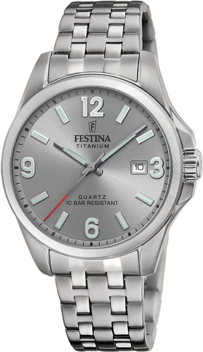 Obrázek Festina Titanium Date