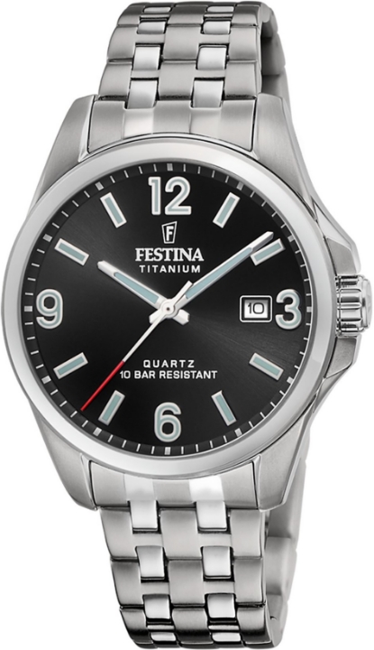 Obrázek Festina Titanium Date