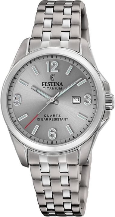 Obrázek Festina Titanium Date