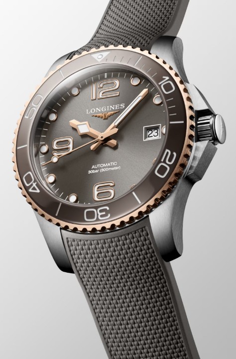 Obrázek Longines HydroConquest