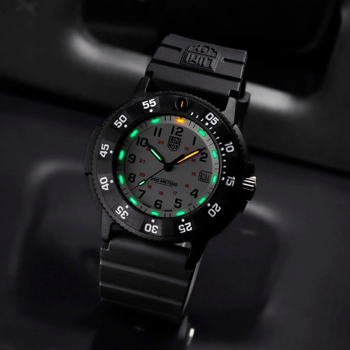 Obrázek Luminox Original Navy SEAL 3000 Series